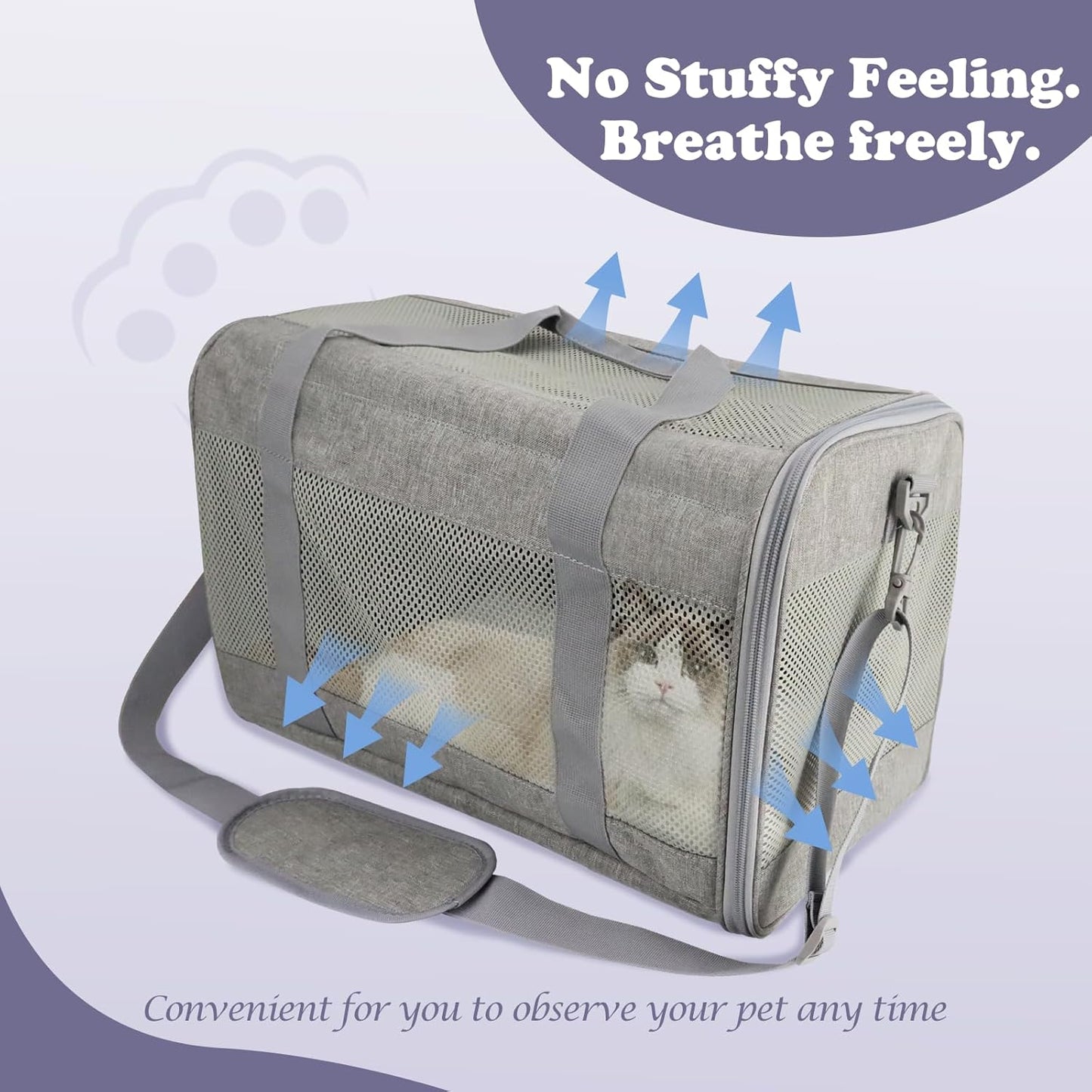 Pet Carrier Airline Approved Pet Carrier Dog Carriers for Small Dogs, Cat Carriers for Medium Cats Small Cats, Small Pet Carrier Small Dog Carrier Airline Approved Dog Cat Pet Travel Carrier